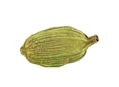 Beyaz arka plan üzerinde izole yeşil kakule pod