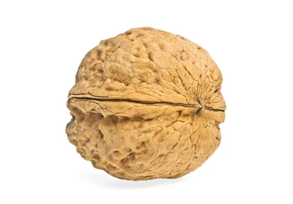 Single walnut isolated on a white background — Stock Photo, Image