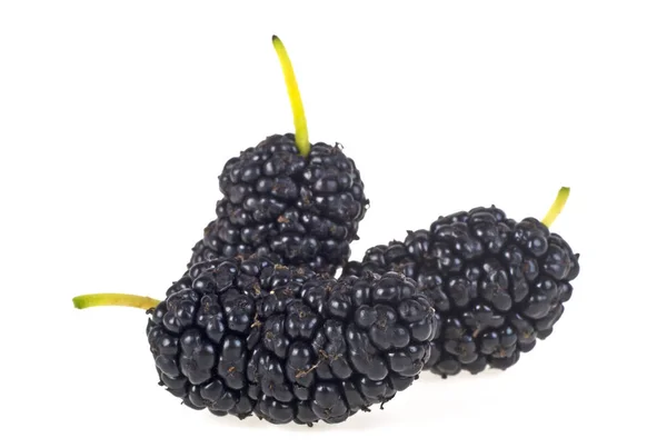 Ripe mulberry on a white background — Stock Photo, Image