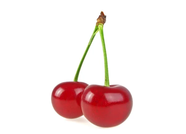 Two cherries on white background — Stock Photo, Image