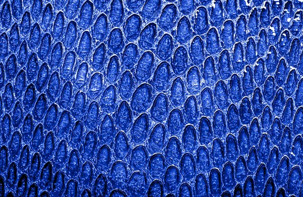 Pozadí modrá hadí kůže — Stock fotografie