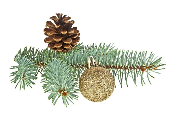 Blue spruce twig with cone and gold decoration ball, isolated on — Stock Photo, Image