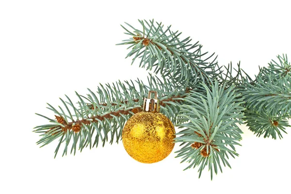 Blue spruce twig with gold decoration ball isolated on a white b — Stock Photo, Image