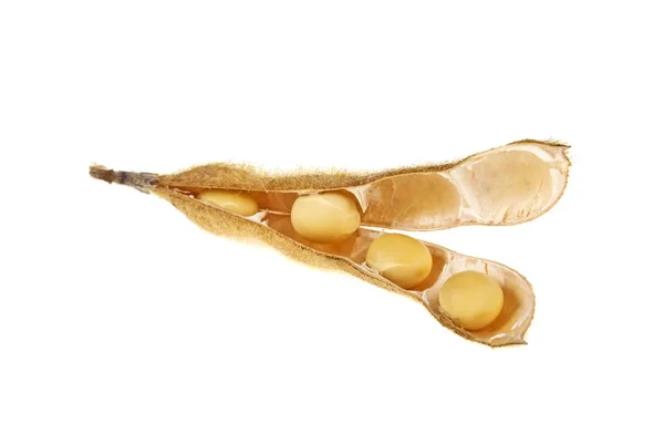 大豆豆荚隔离在白色背景上。豆浆蛋白质植物 — 图库照片