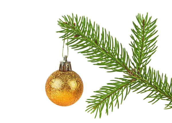 Branche d'arbre de Noël avec boule de décoration en or isolé sur un wh — Photo