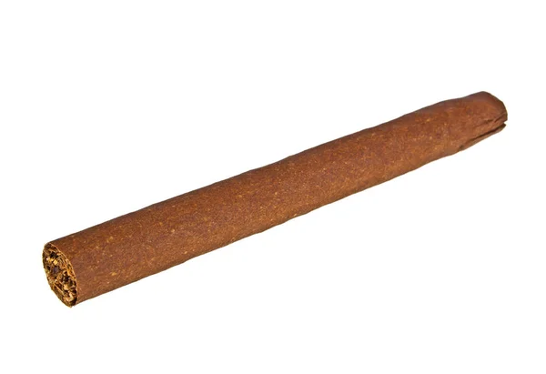 Brun cigar på hvid baggrund - Stock-foto