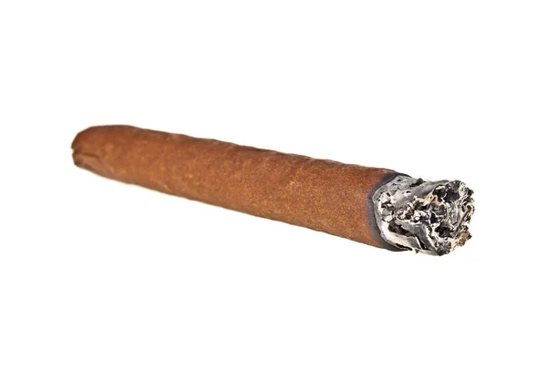 Cigare brun brûlé sur fond blanc — Photo