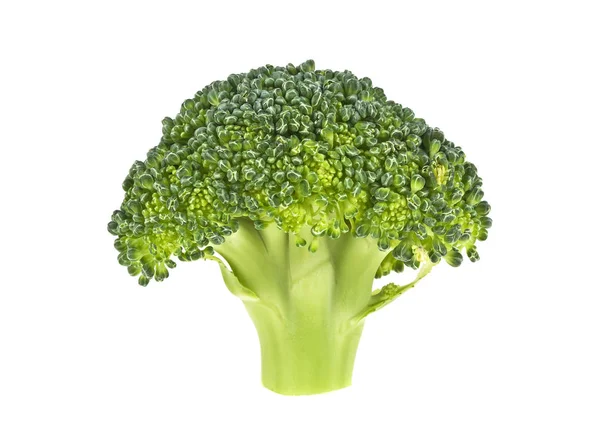 Beyaz arkaplanda taze brokoli izole edilmiş, yakın plan — Stok fotoğraf
