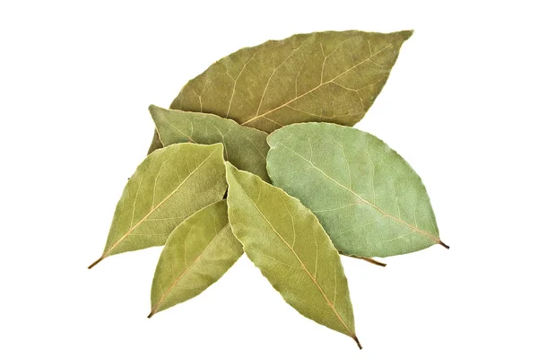 흰색 배경에 고립 된 말린된 베이 월계수 잎을 닫습니다. — 스톡 사진