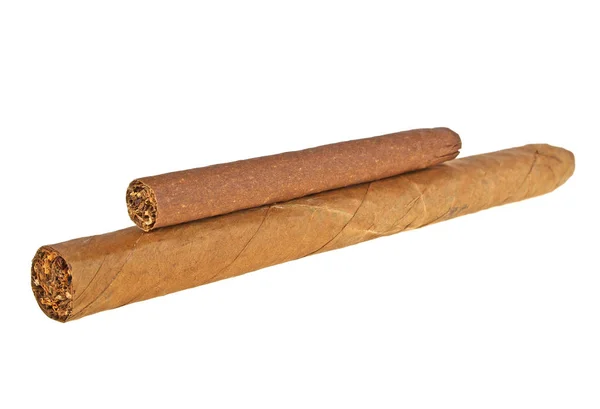 Brown cigars on a white background — Stock Photo, Image