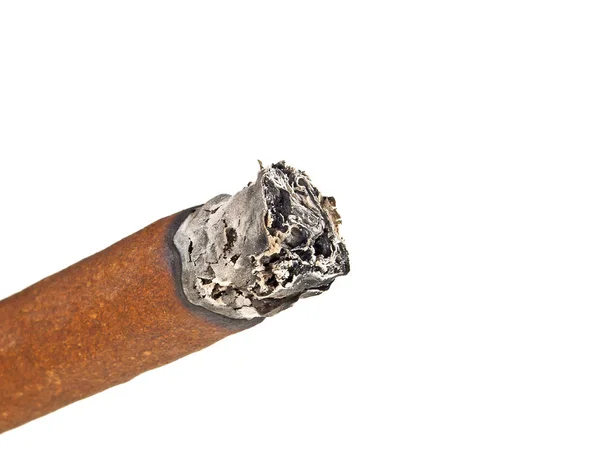 Burning brown cigar isolated on a white background — Stock Photo, Image