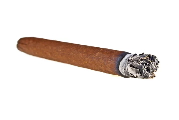 Burning brown cigar isolated on a white background — Stock Photo, Image