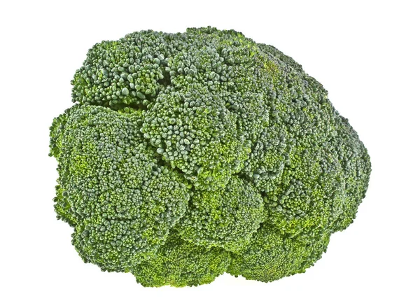 Färsk broccoli isolerad på vit bakgrund — Stockfoto