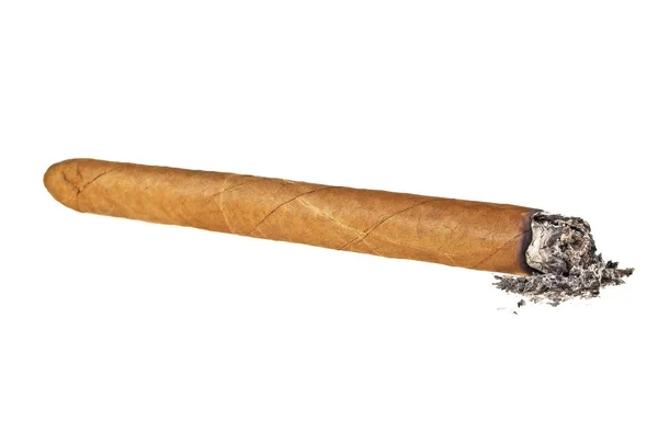 Brun cigarr brände på vit bakgrund — Stockfoto