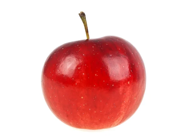 Pomme rouge fraîche sur fond blanc — Photo