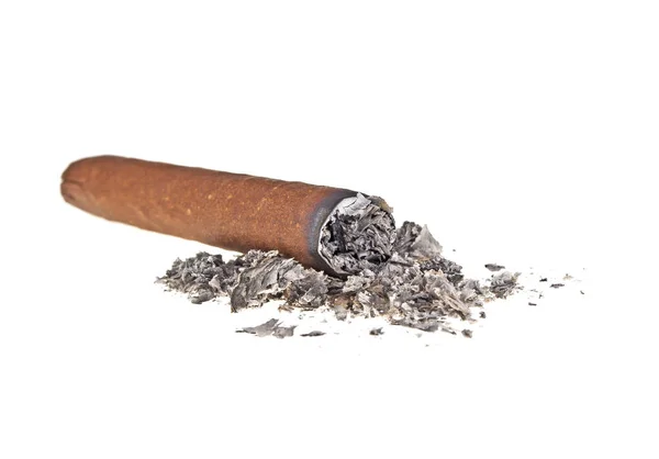 Cigare brun brûlé sur fond blanc — Photo