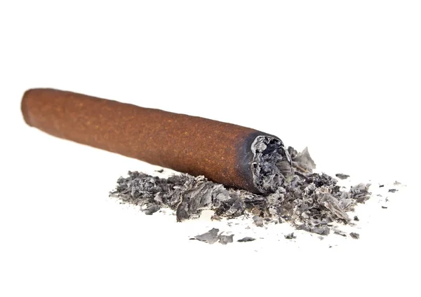 Brun cigarr brände på vit bakgrund — Stockfoto