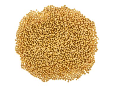 Beyaz zemin üzerinde sarı hardal tohumları izole