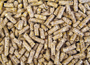 Hayvan yemi arka plan