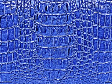 Timsah derisi doku arkaplanı