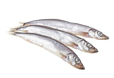 Beyaz arka plan üzerinde izole capelin balık