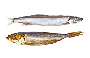 Capelin fish and smoked sprat isolated on white background clipart