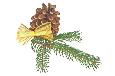 Çam kozalağı Şubeler ve beyaz zemin üzerine altın yay ile