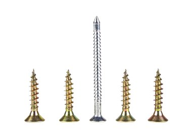 Beyaz arkaplanda çeşitli vidalar