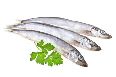 Capelin fish and parsley isolated on white background clipart