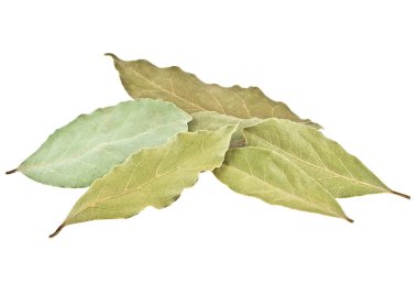 Beyaz bir arka plan üzerinde izole kurutulmuş bay defne yaprakları yakın çekim
