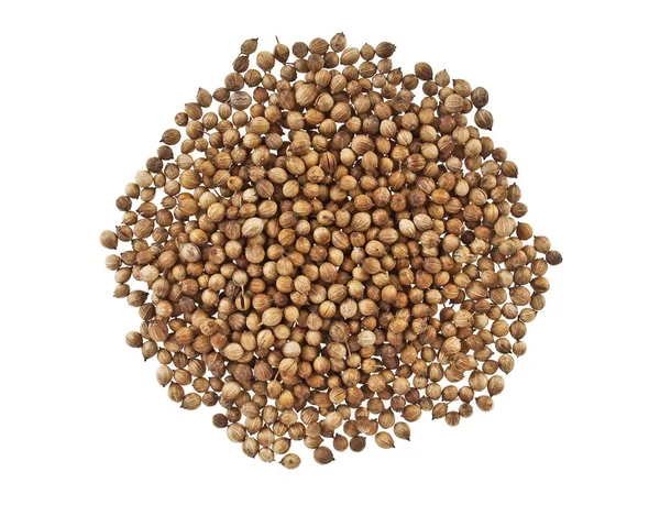 Hoop koriander zaden geïsoleerd op witte achtergrond — Stockfoto