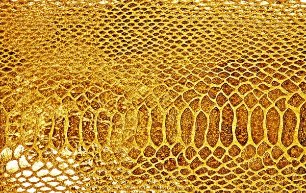 Close-up of yellow snake skin background — Stock Photo, Image