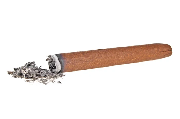 ब्राउन सिगार सफेद पृष्ठभूमि पर जलाया — स्टॉक फ़ोटो, इमेज