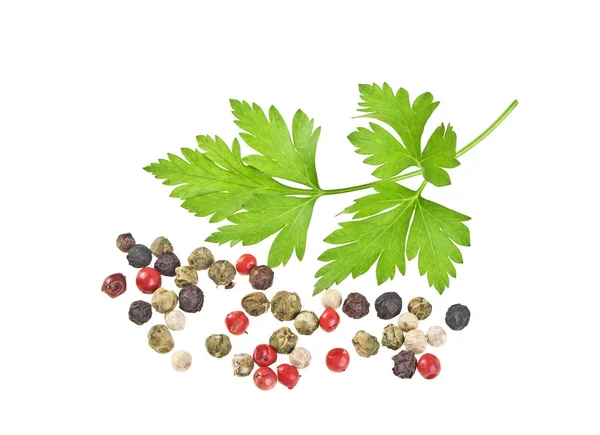 Parsley and peppercorns on a white background — Stock Photo, Image