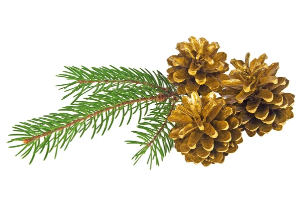 Tres conos de pino dorado con rama sobre fondo blanco —  Fotos de Stock