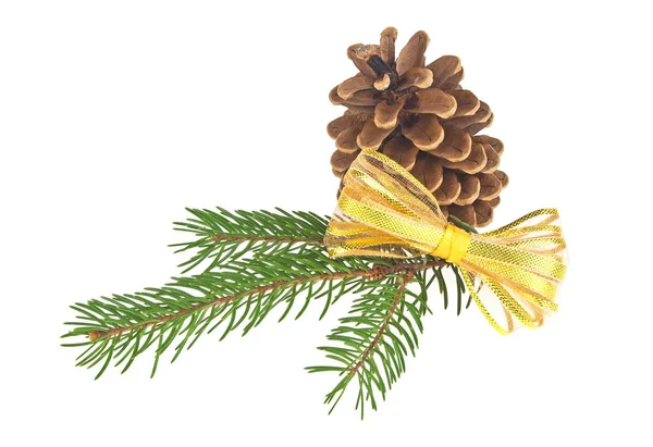 Cono di pino con ramo e fiocco dorato su fondo bianco — Foto Stock