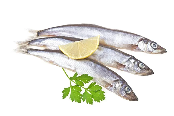 Capelin balık, limon ve beyaz arka plan üzerinde izole maydanoz — Stok fotoğraf