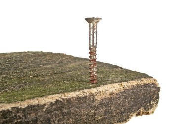 Seçici odak eski tahtasına paslı vida vidalı