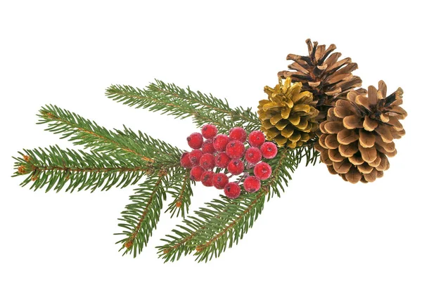 Weihnachtsdekoration auf weißem Hintergrund — Stockfoto