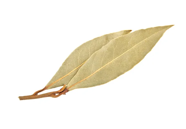 Висушені лаврові листя затоки ізольовані на білому тлі, крупним планом — стокове фото