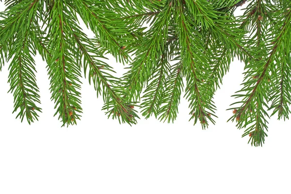 白い背景に隔離されたクリスマスグリーンの枠組み — ストック写真