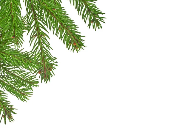 Kerst groen kader geïsoleerd op witte achtergrond — Stockfoto