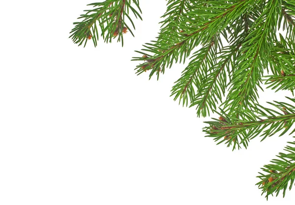 Beyaz arkaplanda izole edilmiş Noel yeşili çerçeve