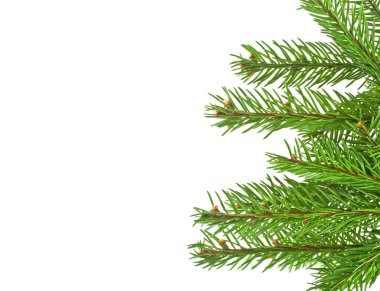 Beyaz arkaplanda izole edilmiş Noel yeşili çerçeve