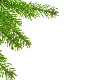 Beyaz arkaplanda izole edilmiş Noel yeşili çerçeve