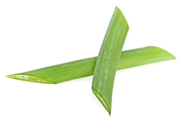 Зелена цибулина нарізана ізольовано на білому тлі — стокове фото