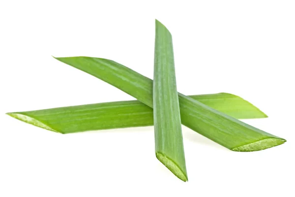 Hierba de cebolla verde picada aislada sobre fondo blanco —  Fotos de Stock