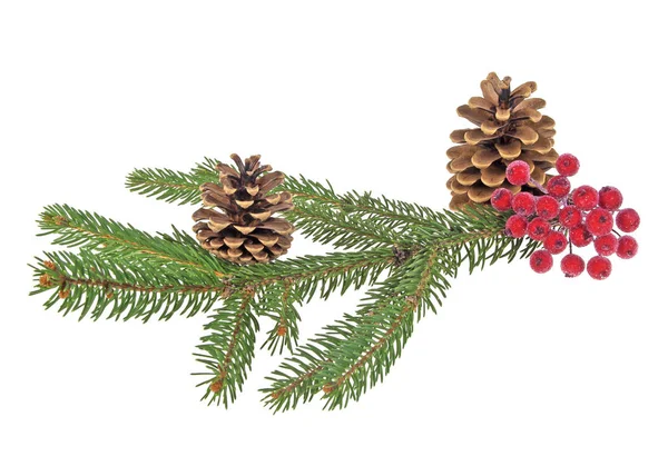 Christmas decorations on a white background — Stock Photo, Image