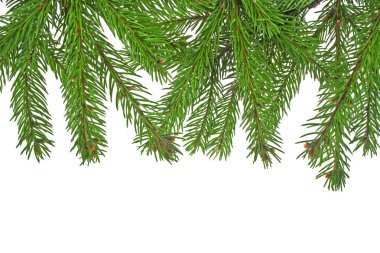 Beyaz arkaplanda izole edilmiş Noel yeşili çerçeve