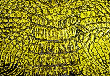 Sarı timsah desenli arka plan
